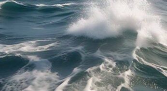 Rising Tides, The Collective Impact of Climate Change