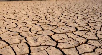 The La Niña Paradox: Drought and Heatwaves