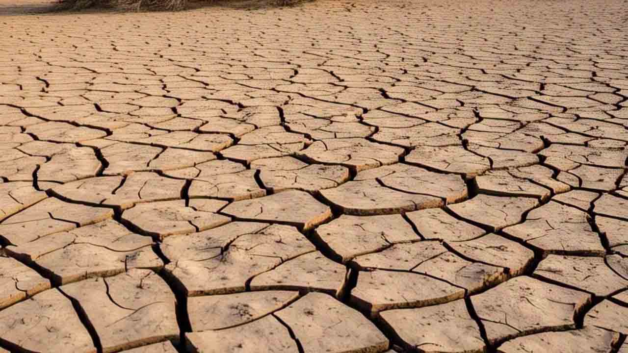 The La Niña Paradox