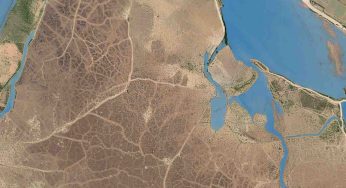 Private Sector Power: Driving Climate Resilience
