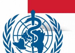 Indonesia Repositions