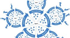 Circular Economy Strategies as Climate Resilience Tools for Industry